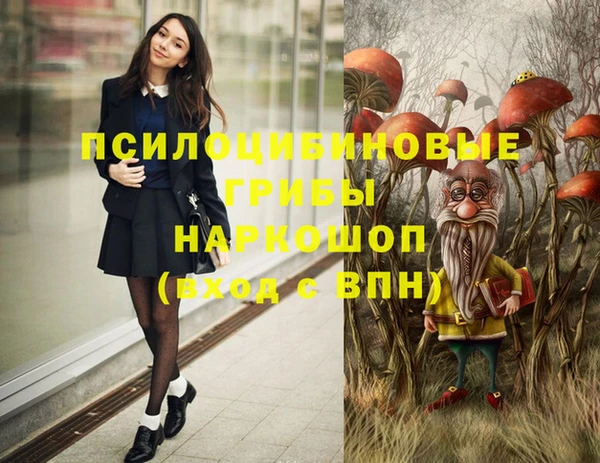 марки nbome Ельня