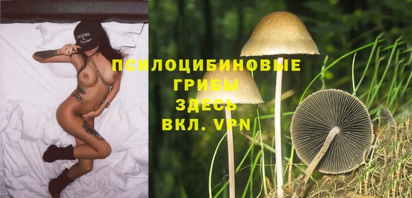 герыч Елабуга