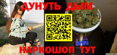 apvp Гатчина