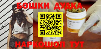 apvp Гатчина