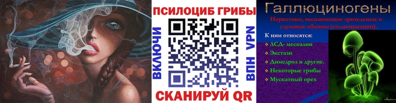 цена Севастополь Псилоцибиновые грибы Psilocybe