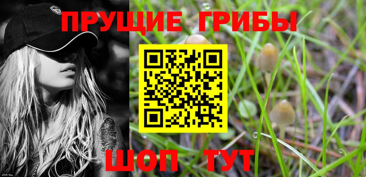 Севастополь  цены   Псилоцибиновые грибы Cubensis  Вход с VPN  Галлюциногенные грибы прущие грибы 